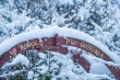 DSC_6369_1920