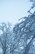 DSC_6371_1920a