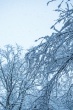 DSC_6373_1920