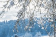 DSC_6401_1920-Kopie