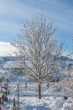 DSC_6410_1920-Kopie