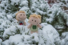 Zwergfeen Winter