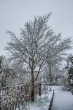 DSC_3988_1920