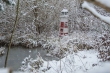 DSC_3990_1920