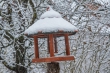 DSC_4008_1920