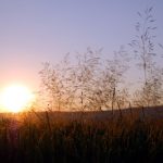 Mittsommerabend im Klettgau