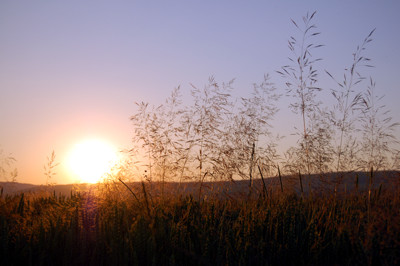 Mittsommerabend im Klettgau