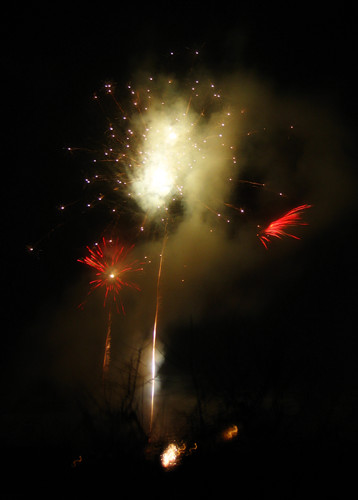 Feuerwerksphoenix 2009