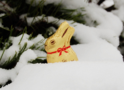 Der Märzenwinterosterhase warten - dieses Jahr vielleicht nicht...