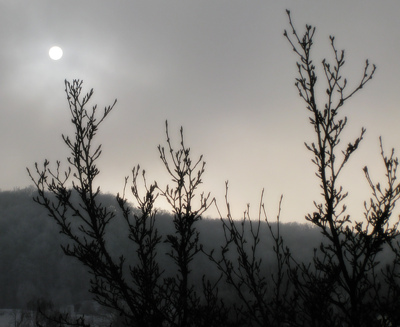 Falb blinzelt durch Sonne durch den Nebel in den Klettgau-Winter.