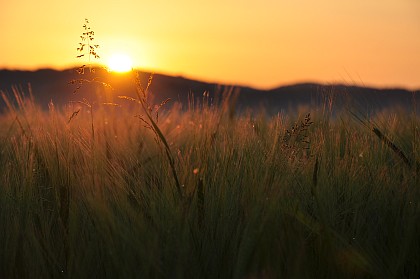 Sonnenaufgang am 23. Mai 2009