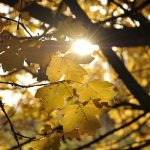 Anderland, Herbstland