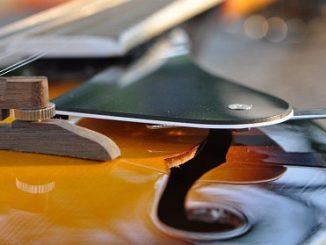 Mandoline, von ganz nahe betrachtet (Foto: Martin Dühning)