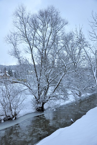 Schnee an der Steina Schnee an der Steina