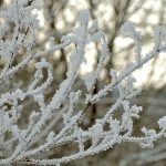 Stiller Tag in Schnee und Eis