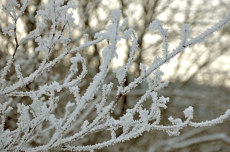 It freeeeezes - zarter Frost am Stephanstag