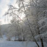 Ein bissli mehr Winterbilderli?