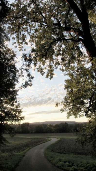 Pastorale Abendlandschaft - sieht sogar ein bisschen nach Lorrain aus... (Foto: Martin Dühning)