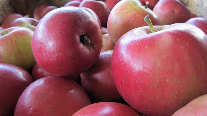 Beim Lauchringer Obst gibt es heuer durch Hagel große Ausfälle. Aber dann importieren wir halt einfach Äpfel von den familiären Plantagen in Bechtersbohl. Quitten freilich sind das trotzdem nicht...