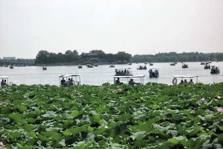 Der im Sommer mit Lotus teilweise zugewachsene Kunming-See lädt zu Bootsfahrten ein. (Foto: Hansjörg Dühning) Der im Sommer mit Lotus teilweise zugewachsene Kunming-See lädt zu Bootsfahrten ein. (Foto: Hansjörg Dühning)