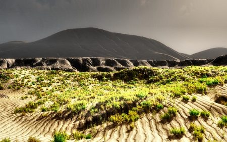 In Jerryland breitet sich Ödland seit Jahrzehnten aus. Die Bodenerosion soll nun durch massive Lanschaftsplanung gestoppt werden. Ziel ist ein gewaltige Naturseenlandschaft.