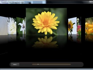 Ein animiertes Fotoalbum wie bei MacOS oder CoolIris - bei Delphi XE braucht man nur noch wenige Mausklicks dafür. Auch beim Stil einer Anwendung kann man aus einer ganzen Reihe vordefinierter Stile auswählen - oder einen ganz eigenen erstellen.