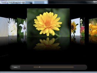Ein animiertes Fotoalbum wie bei MacOS oder CoolIris - bei Delphi XE braucht man nur noch wenige Mausklicks dafür. Auch beim Stil einer Anwendung kann man aus einer ganzen Reihe vordefinierter Stile auswählen - oder einen ganz eigenen erstellen.