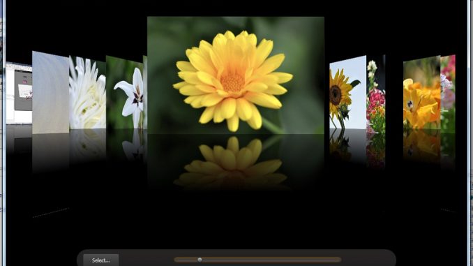 Ein animiertes Fotoalbum wie bei MacOS oder CoolIris - bei Delphi XE braucht man nur noch wenige Mausklicks dafür. Auch beim Stil einer Anwendung kann man aus einer ganzen Reihe vordefinierter Stile auswählen - oder einen ganz eigenen erstellen.