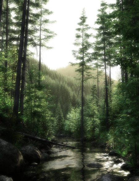 Schwarzwaldähnliche Landschaft, ursprünglich kreiiert von Howie Farkes und gerendert mit Carrara 8.1.