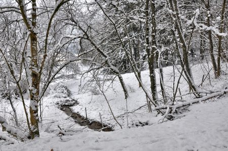 Die Bächlein rauschen aber schon wieder den Berg hinab - es taut! (Foto: Martin Dühning)