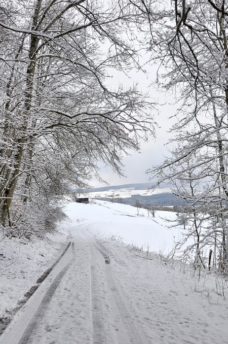 Verschneit liegen im Vorjura noch die Berge, fast reicht es noch für eine Schlittenkutschenrundfahrt. (Foto: Martin Dühning)