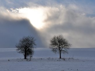 Der Kampf Winter gegen Sonne läuft aber noch. (Foto: Martin Dühning)