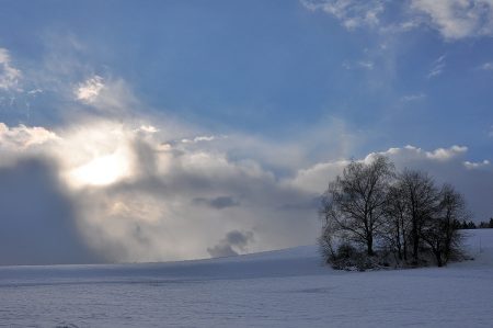 Die Sonne setzt sich langsam gegen den Schneesturm durch. Bäume warten ab. (Foto: Martin Dühning)