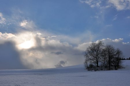 Die Sonne setzt sich langsam gegen den Schneesturm durch. Bäume warten ab. (Foto: Martin Dühning)