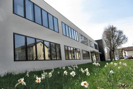 Auch am Klettgau-Gymnasium blühen die Narzissen - Nachkommen längst vergessener Blumenzwiebelspendeaktionen der Fachschaft Religion (Foto: Martin Dühning).