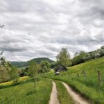 Blühender Klettgau: An Christi Himmelfahrt 2013 grünt und blüht es überall - wie beispielsweise hier der Weg von Lauchringen Richtung Küssaburg. (Foto: Martin Dühning)