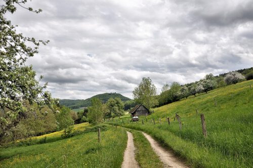 Blühender Klettgau: An Christi Himmelfahrt 2013 grünt und blüht es überall - wie beispielsweise hier der Weg von Lauchringen Richtung Küssaburg. (Foto: Martin Dühning)