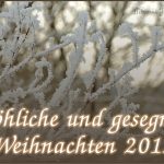 Nitramica Arts wünscht frohe Weihnachten 2013!