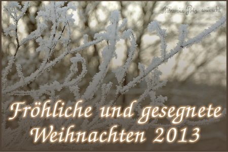 Nitramica Arts wünscht frohe Weihnachten 2013!