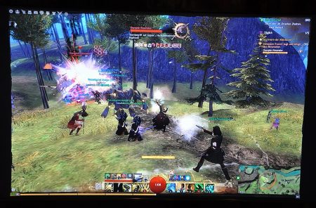 Das kleine System ist immerhin leistungsfähig genug, um auch Spiele wie GuildWars2 von Mini-SD-Karte aus spielen zu können.