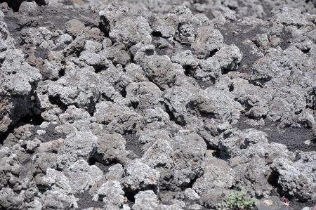 Flechten gehören zu den ersten Pionierpflanzen, die ein Lavafeld erschließen. Bis aus Stein fruchtbarer Boden wird, vergehen aber viele Jahrzehnte. (Foto: Martin Dühning)