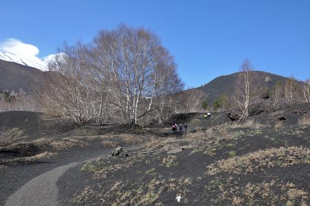 Kraterwanderweg am Ätna auf etwa 1900 m Höhe (Foto: Martin Dühning)