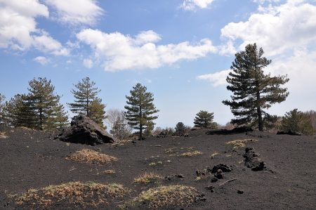 Landschaft am Ätna, die irgendwie ein wenig an "Ice Age" erinnert. Es fehlen nur die Mammuts und der Schnee. Letzterer liegt in normalen Jahren im April noch auf dieser Höhe, 2014 war aber auch in Sizilien zu warm. (Foto: Martin Dühning)