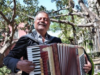 Ein sizilianischer Musiker bringt in einem Park mit südamerikanischen Gummibäumen ein persönliches Akkordeonständchen dar. (Foto: Martin Dühning)