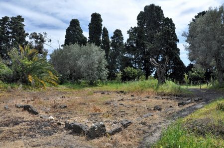 Reste eines antik-griechischen Wohnhauses, umgeben von Olivenbäumen und Palmen (Foto: Martin Dühning)