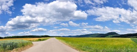 Im Juni wirkt die Klettgaulandschaft viel weiträumiger und weltoffener als sonst. (Foto: Martin Dühning)