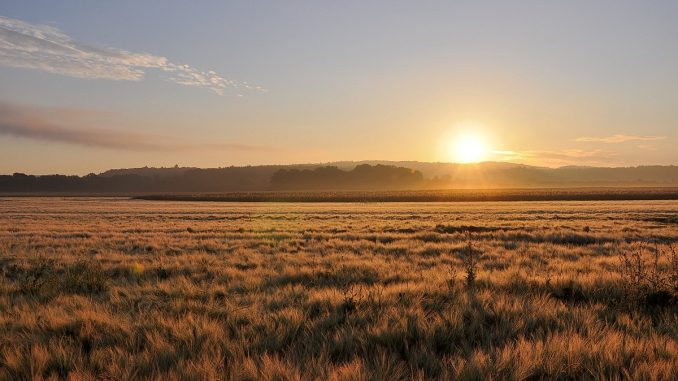 Sonnenaufgang am 1. Juli 2014 in Oberlauchringen (Foto: Martin Dühning).