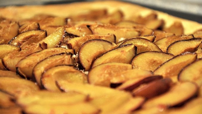 Aus heimischen Pflaumen lassen sich allerlei Kuchen zubereiten - beispielsweise ein Backblech Schwarzwälder "Zwetschgendünne" (Foto und Kuchen: Martin Dühning)