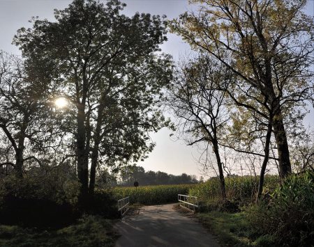 Oktobersonne bei Oberlauchringen am 4. Oktober 2014 (Foto: Martin Dühning)