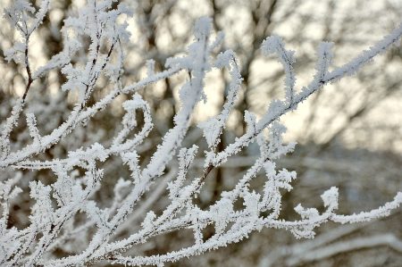 Im Winter ruht die Natur - und Nitramica Arts diesmal auch. (Foto: Martin Dühning)